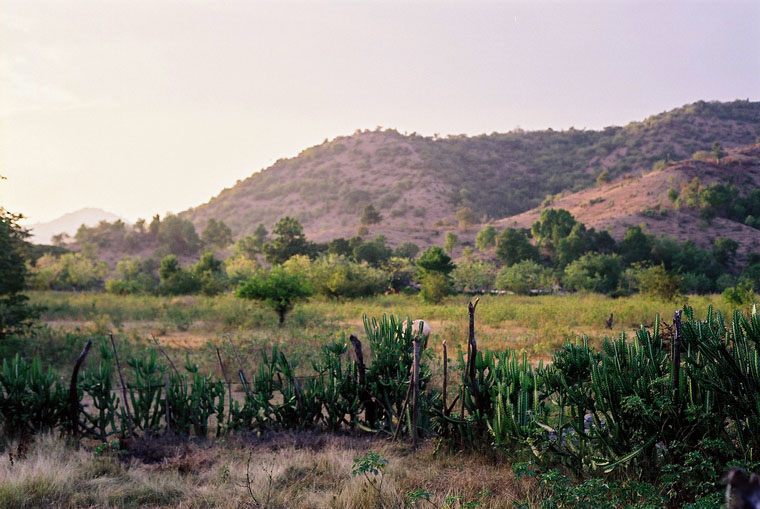 cuba_pastoral038