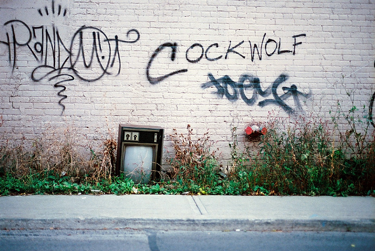 cockwolf