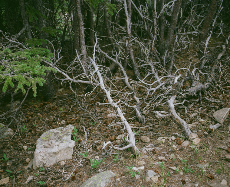 mount_evans-12